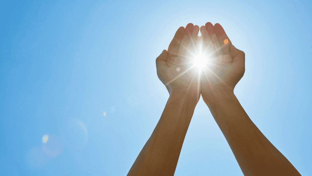 Solenergi och koldioxid blir grönt bränsle – med hjälp av mikroorganismer