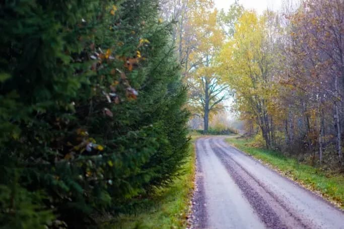 Beslut om årets bidrag till entreprenörskapforskning för en levande landsbygd