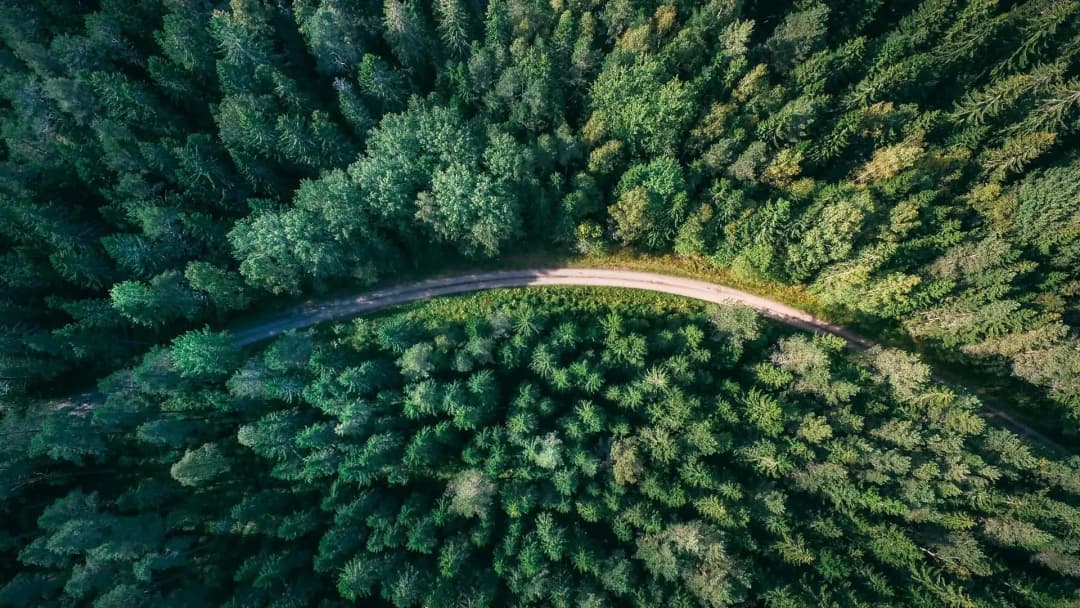 Familjen Kamprads stiftelse och Luleå tekniska universitet skapar NorrlandsNavet för utveckling av företagsverksamhet