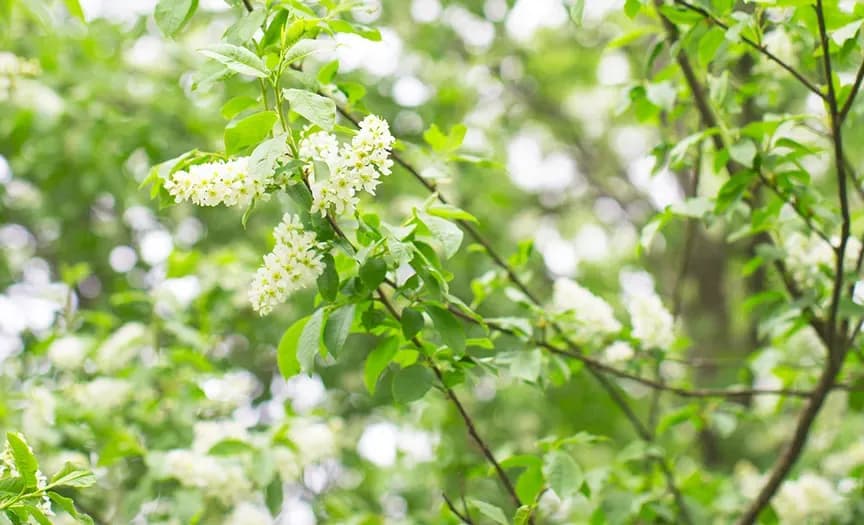 Smarta elnät för de många människorna - tvärvetenskapligt forskningsprogram